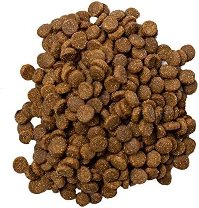 Doodzy Dry Dog Food Chicken for All Ages (20 Kg)
