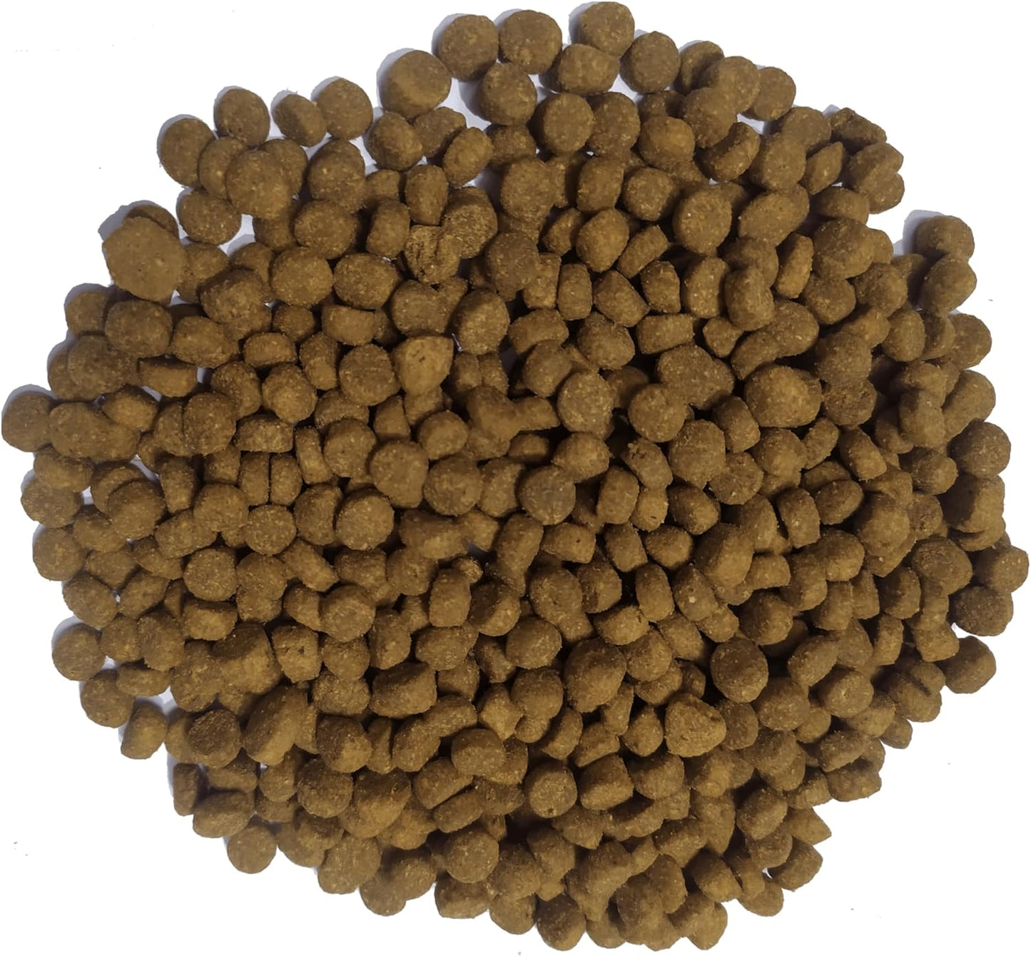 Doodzy Premium Cat Dry Food 1kg
