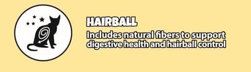 Doodzy Super Premium Dry Food for Adult Cats Chicken &amp; Rice Flavor 0 Salt Supports Healthy Skin &amp; Coat, Digestion, Bone &amp; Immunity