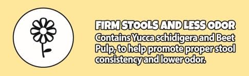 Doodzy Super Premium Dry Food for Adult Cats Chicken &amp; Rice Flavor 0 Salt Supports Healthy Skin &amp; Coat, Digestion, Bone &amp; Immunity