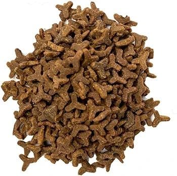 Doodzy Super Premium Dry Food for Adult Cats Chicken &amp; Rice Flavor 0 Salt Supports Healthy Skin &amp; Coat, Digestion, Bone &amp; Immunity